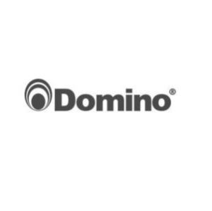 Domino