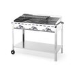 Grătar Green Fire cu 3 arzătoare, HENDI, Profi Line, 17,4 kW, 1078x612x(H)825mm