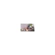 Razatoare legume tip mandolina, lama dubla, Hendi, sistem reglare grosime feliere, 530x165 mm
