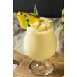 Blender cu viteza variabila Orione 2 T VV