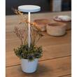 Lampa de masa Poldina Reverso cu castron