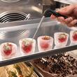 Abatitor/blast chiller Dolomiti 14 Gelateria