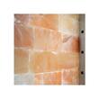 Dulap frigorific vertical maturare carne FRENOX cu doua usi, 195 lt