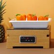 Tava Gastronorm GN 1/2 65 mm, portelan termorezistent pana la 600 gr C, Hendi
