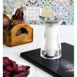 Rasnita din acril pentru sare 17.5 cm Pesaro-Urbino- Bisetti