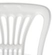 Scaun din plastic Vienna