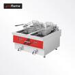 Friteusa electrica doua cuve EF-21L-2D - ProFlame
