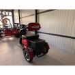 Tricicletă electrică Saige A2 Rabbit, viteză maximă 25 km/h, motor 1000W