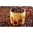 Aparat filtru de cafea