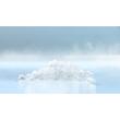 Masina gheata FM-1000AKE-R452-SB fulgi - Hoshizaki