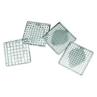 Kit lame inox + ipingator pentru aparat de taiat cartofi pai - Louis Tellier