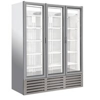 Frigider cu doua usi CL 1600 H3