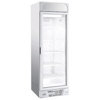 Dulap congelare static CL 380 VDFS