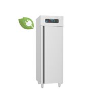 Dulap congelator vertical FRENOX cu o usa/Prof. Line, Clasa C
