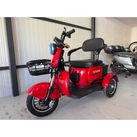 Tricicletă electrică Saige A2 Rabbit, viteză maximă 25 km/h, motor 1000W