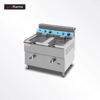 Friteusa pe gaz cu doua cuve de 17 lt - ProFlame