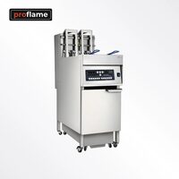 Friteusa electrica cu doua cuve EFSJ-18-2T - Proflame